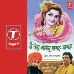 Hai Tera Mandir Jagaha Jagaha - Durga Natraj Song Download